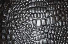 Alligator Full Grain Leather Sample