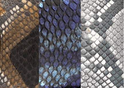 Python Skin